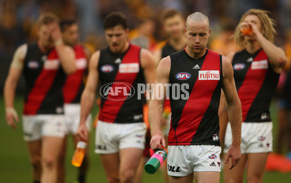 AFL 2015 Rd 13 - Hawthorn v Essendon - 383331