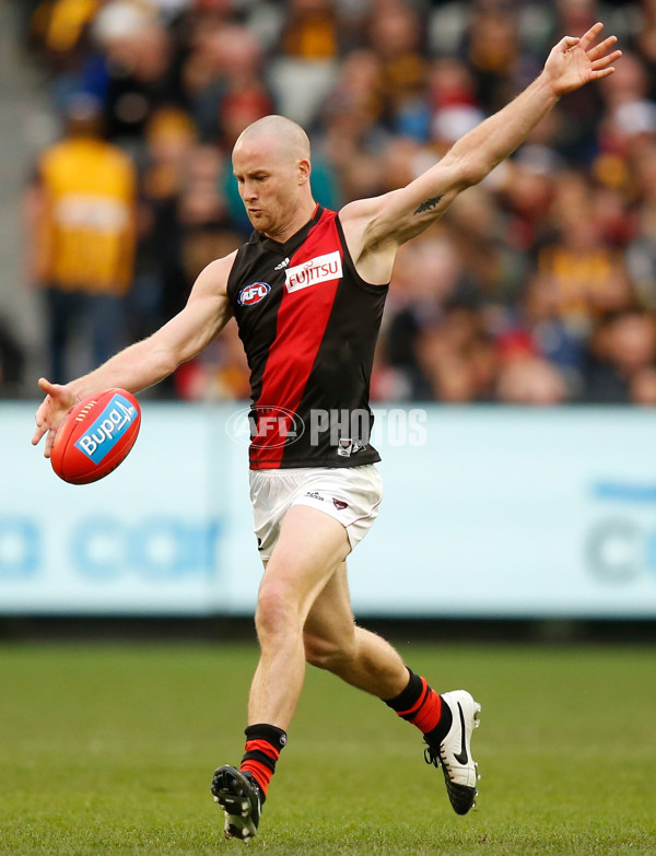 AFL 2015 Rd 13 - Hawthorn v Essendon - 383395