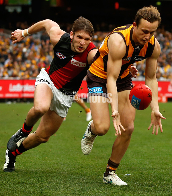 AFL 2015 Rd 13 - Hawthorn v Essendon - 383431