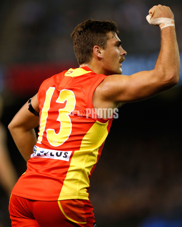 AFL 2015 Rd 13 - Carlton v Gold Coast - 383908