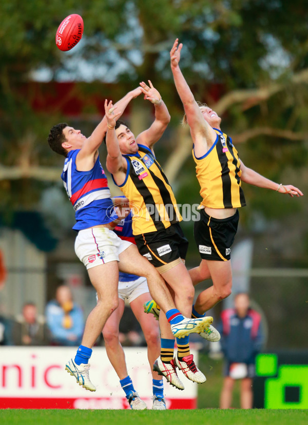 VFL 2015 Rd 11 - Sandringham v Footscray Bulldogs - 383952