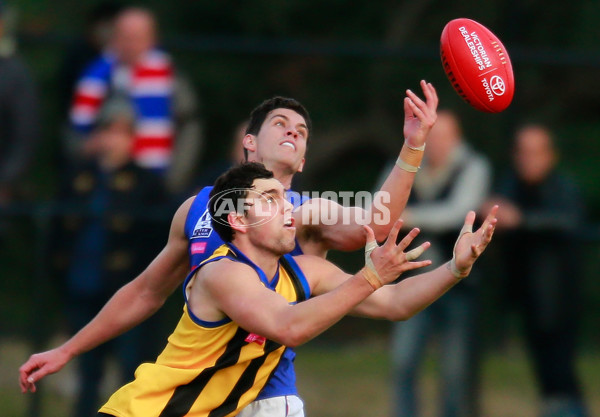 VFL 2015 Rd 11 - Sandringham v Footscray Bulldogs - 383990