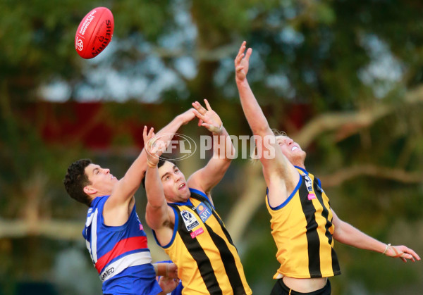 VFL 2015 Rd 11 - Sandringham v Footscray Bulldogs - 383953