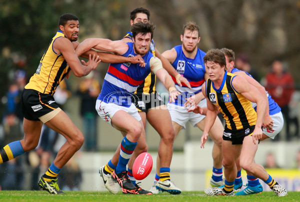 VFL 2015 Rd 11 - Sandringham v Footscray Bulldogs - 384078