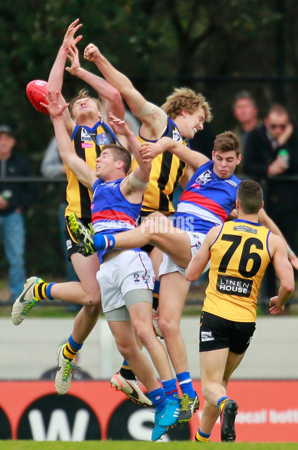 VFL 2015 Rd 11 - Sandringham v Footscray Bulldogs - 384131