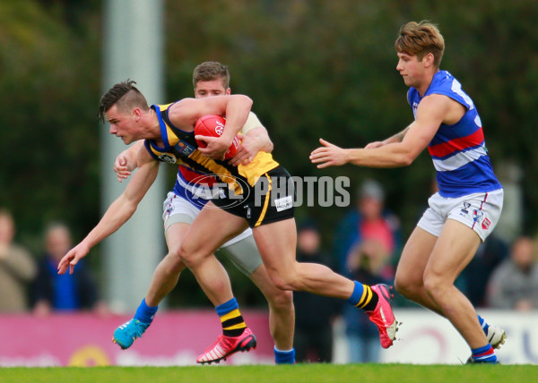 VFL 2015 Rd 11 - Sandringham v Footscray Bulldogs - 384146