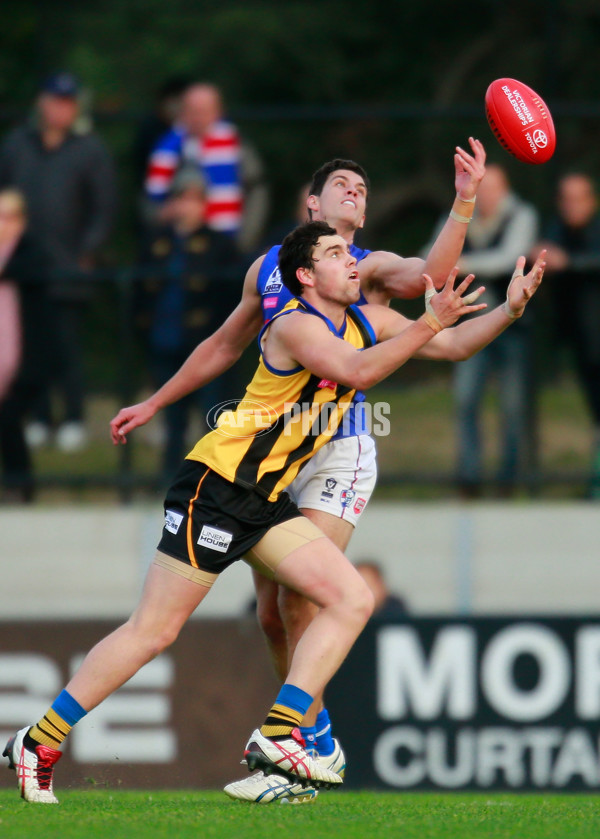 VFL 2015 Rd 11 - Sandringham v Footscray Bulldogs - 384150