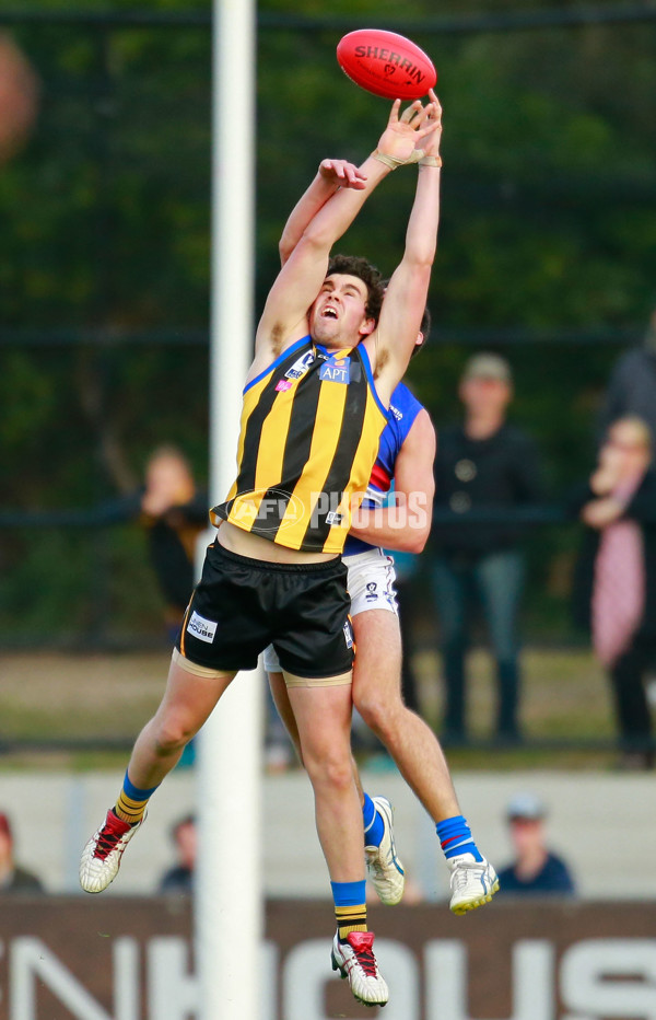 VFL 2015 Rd 11 - Sandringham v Footscray Bulldogs - 384149