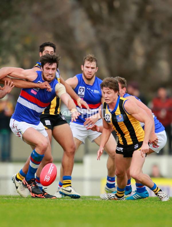 VFL 2015 Rd 11 - Sandringham v Footscray Bulldogs - 384079