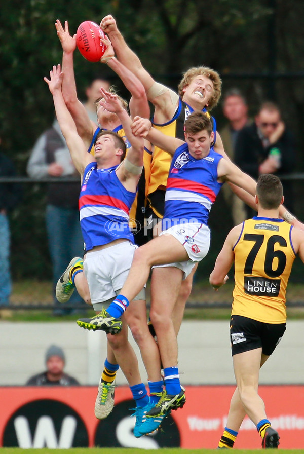 VFL 2015 Rd 11 - Sandringham v Footscray Bulldogs - 384132