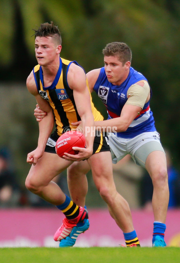 VFL 2015 Rd 11 - Sandringham v Footscray Bulldogs - 384144