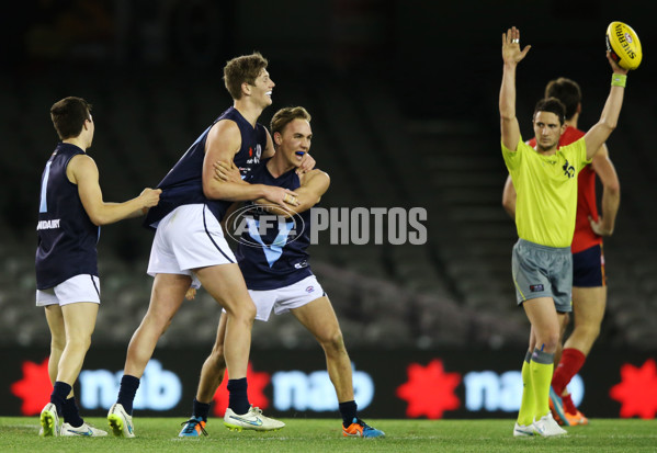 AFL 2015 Under 18 - Vic M v SA - 384598