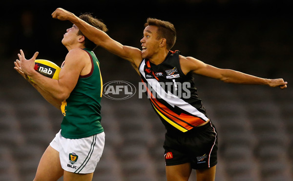 AFL 2015 Under 18 - NT v Tas - 384602