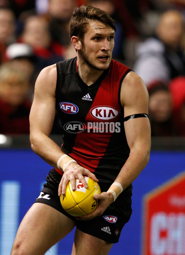 AFL 2015 Rd 14 - Essendon v St Kilda - 386202