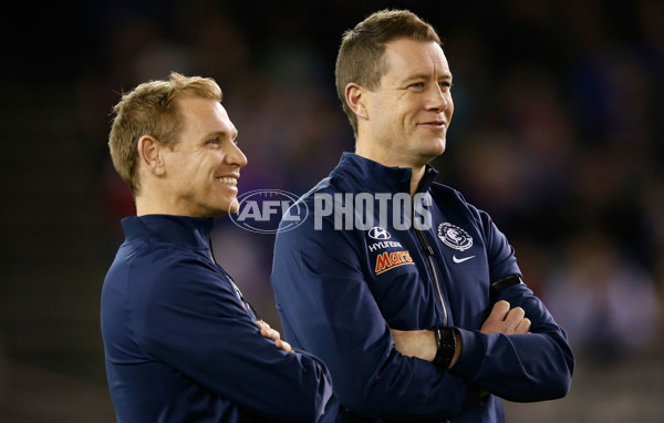 AFL 2015 Rd 14 - Western Bulldogs v Carlton - 386365