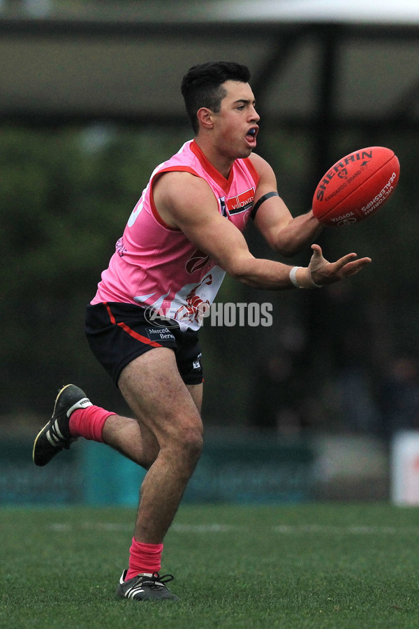 VFL 2015 Rd 12 - Casey Scorpions v Geelong Cats - 386473