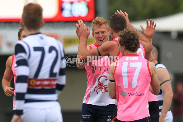 VFL 2015 Rd 12 - Casey Scorpions v Geelong Cats - 386390