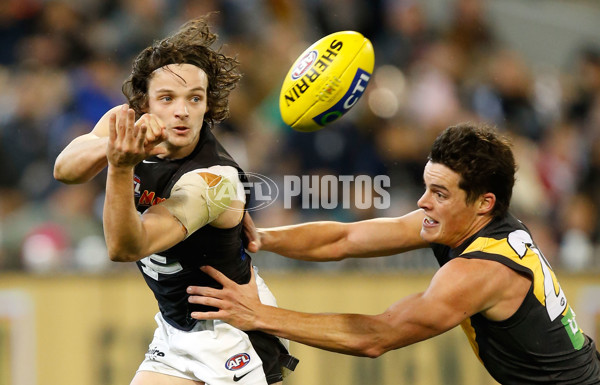 AFL 2015 Rd 15 - Richmond v Carlton - 386949