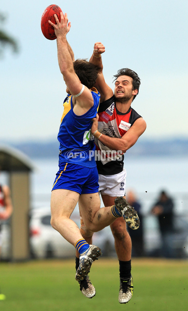 VFL 2015 Rd 13 - Williamstown v Frankston - 387466