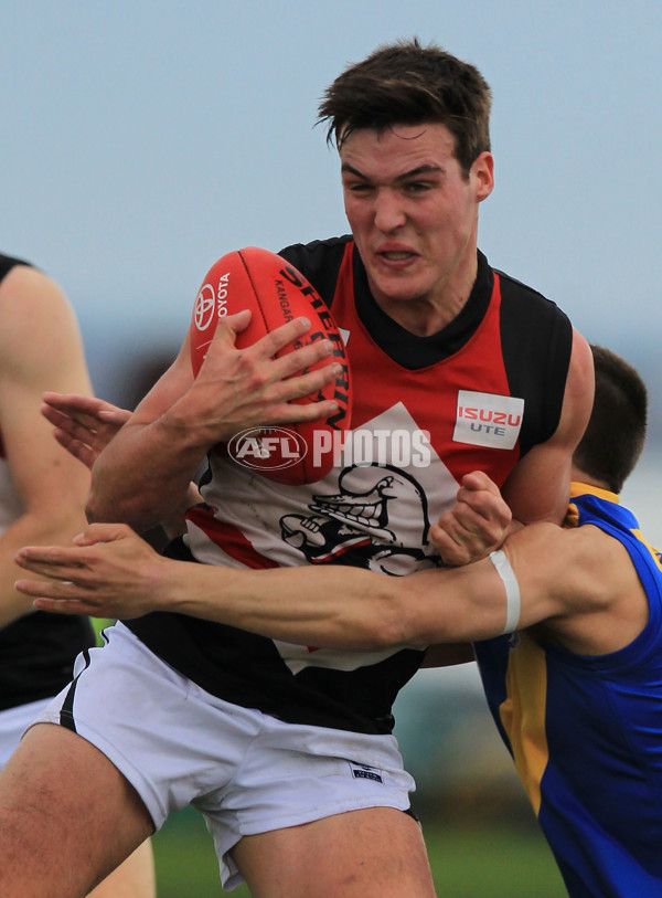 VFL 2015 Rd 13 - Williamstown v Frankston - 387454