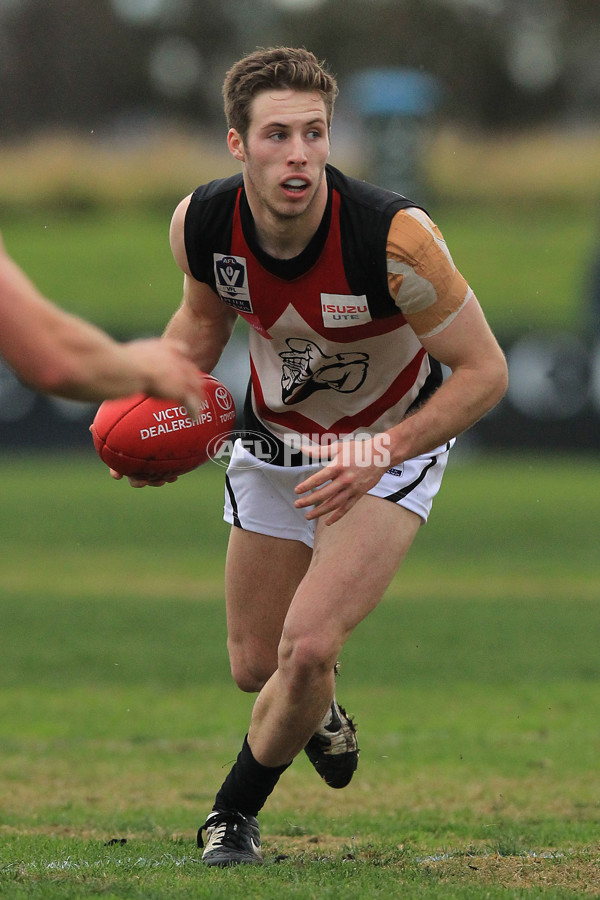 VFL 2015 Rd 13 - Williamstown v Frankston - 387487