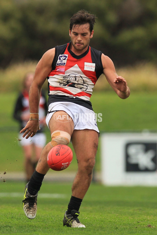 VFL 2015 Rd 13 - Williamstown v Frankston - 387477