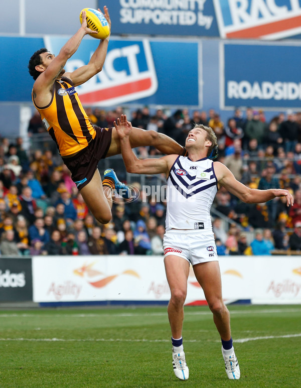 AFL 2015 Rd 15 - Hawthorn v Fremantle - 387746