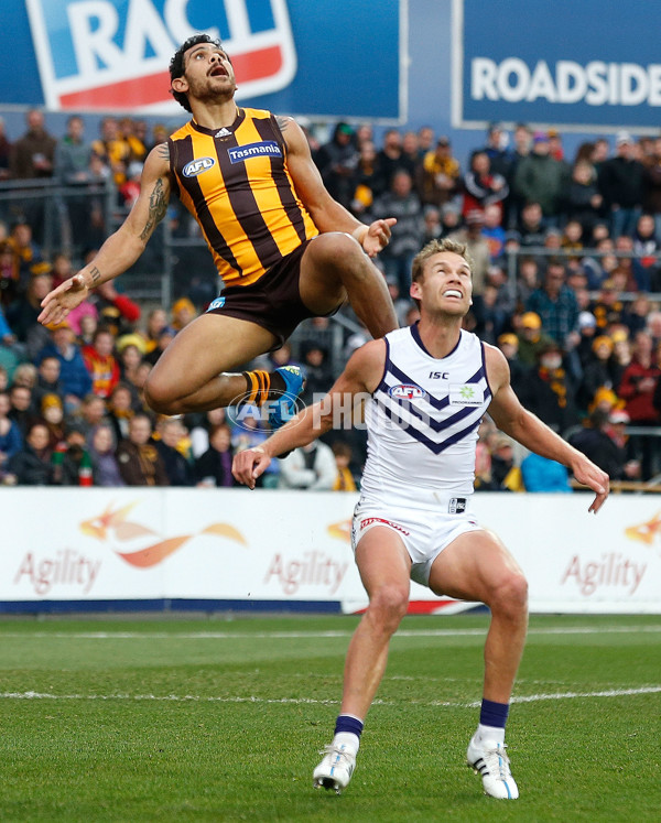 AFL 2015 Rd 15 - Hawthorn v Fremantle - 387763