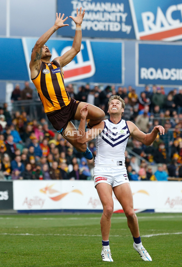 AFL 2015 Rd 15 - Hawthorn v Fremantle - 387747