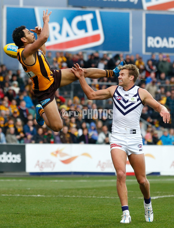 AFL 2015 Rd 15 - Hawthorn v Fremantle - 387762