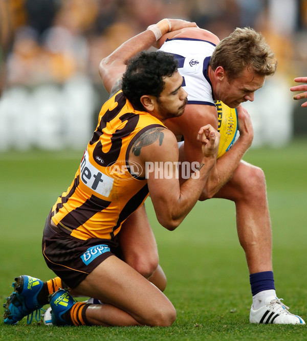 AFL 2015 Rd 15 - Hawthorn v Fremantle - 387945