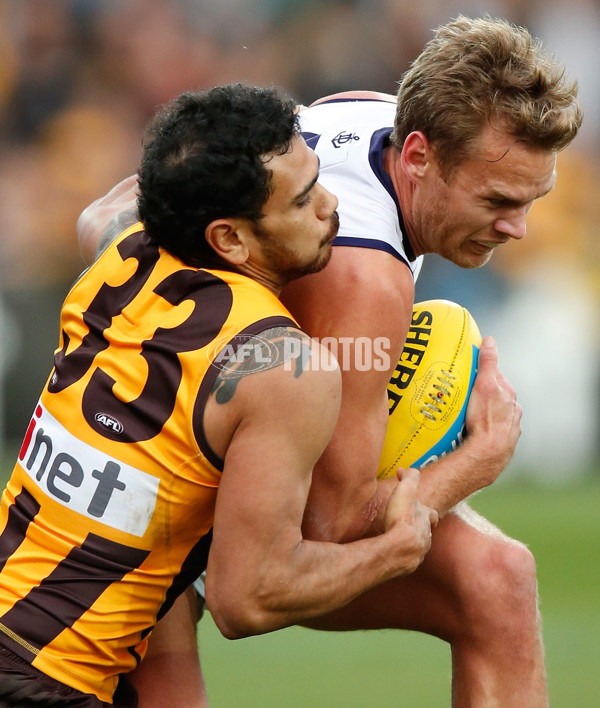 AFL 2015 Rd 15 - Hawthorn v Fremantle - 387944