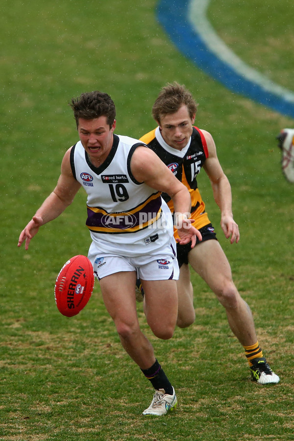 TAC 2015 Rd 13 - Dandenong v Murray - 387974