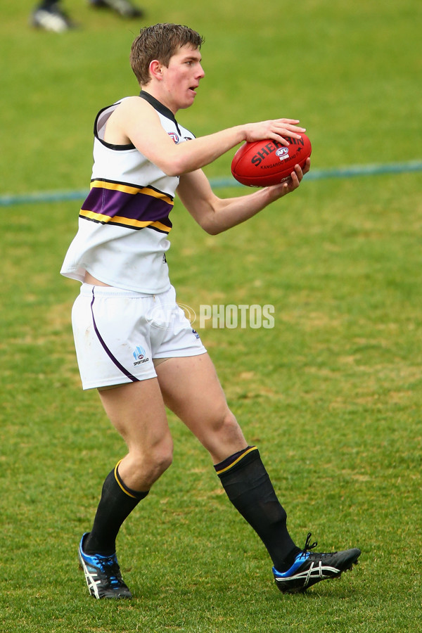 TAC 2015 Rd 13 - Dandenong v Murray - 388002