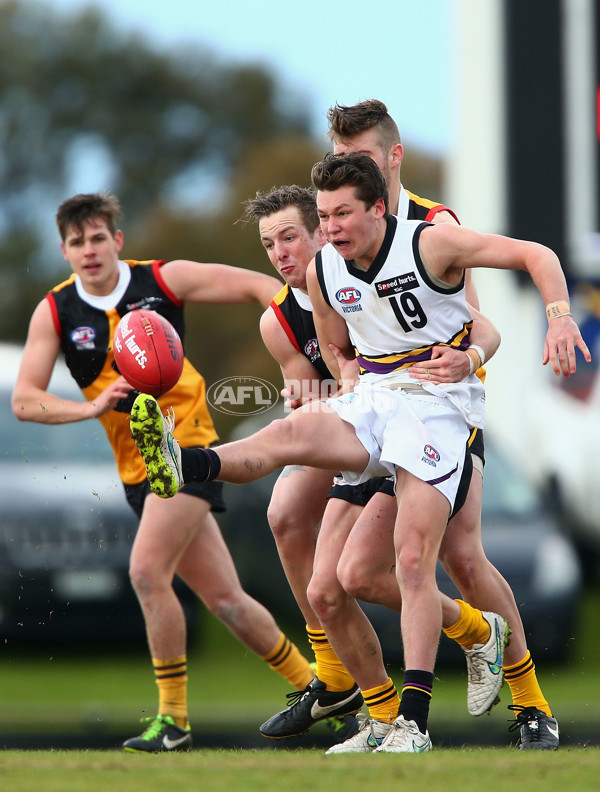 TAC 2015 Rd 13 - Dandenong v Murray - 388016