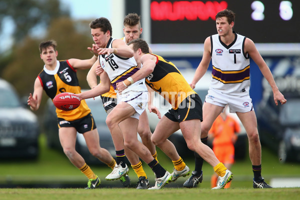 TAC 2015 Rd 13 - Dandenong v Murray - 388015