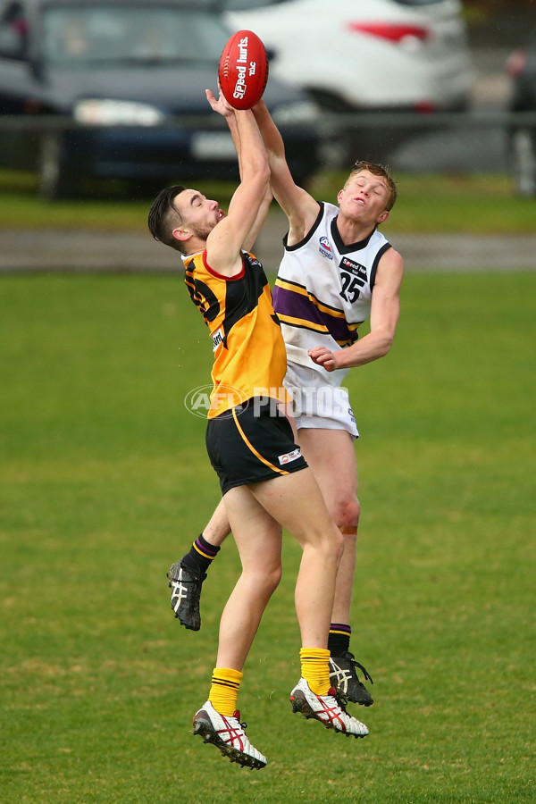 TAC 2015 Rd 13 - Dandenong v Murray - 387997