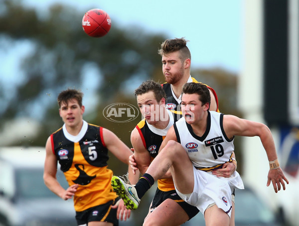 TAC 2015 Rd 13 - Dandenong v Murray - 388017