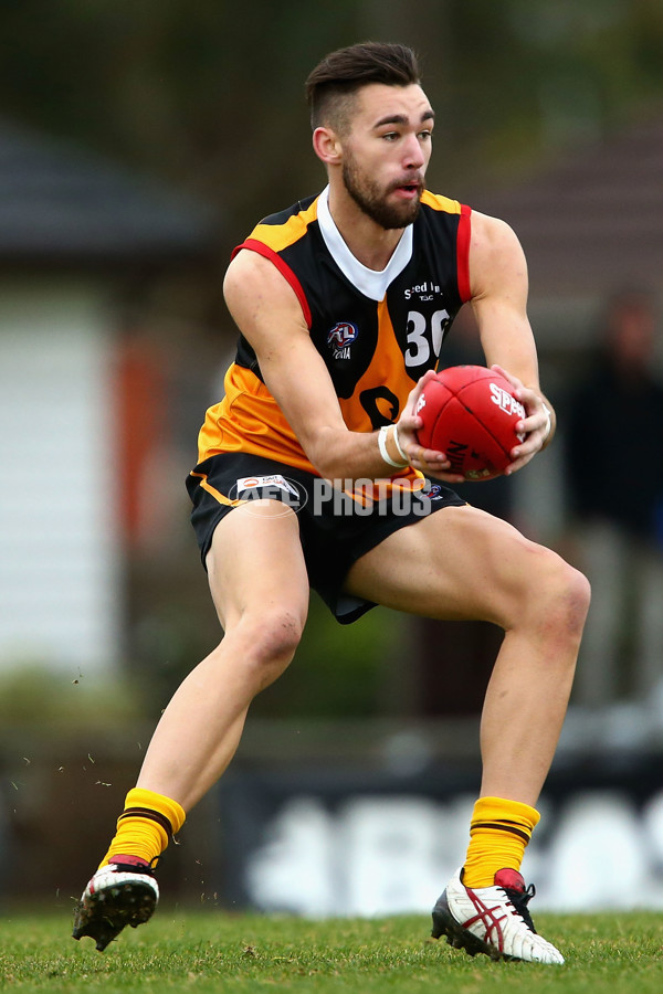 TAC 2015 Rd 13 - Dandenong v Murray - 388036