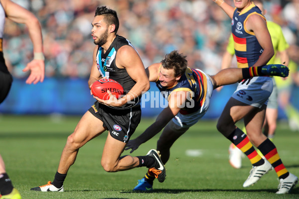 AFL 2015 Rd 16 - Port Adelaide v Adelaide - 389548