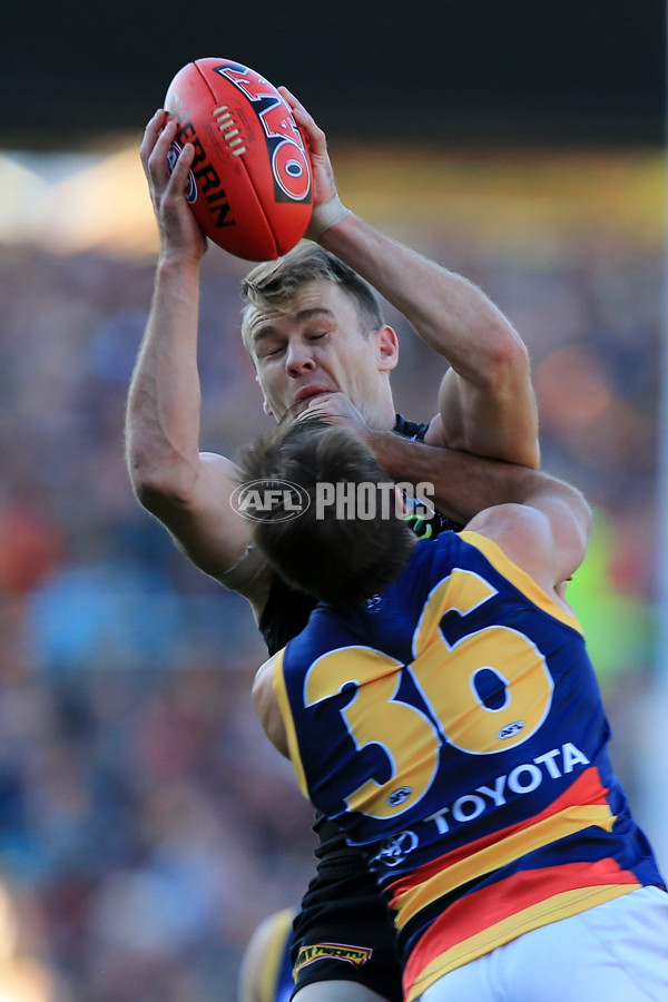 AFL 2015 Rd 16 - Port Adelaide v Adelaide - 389574