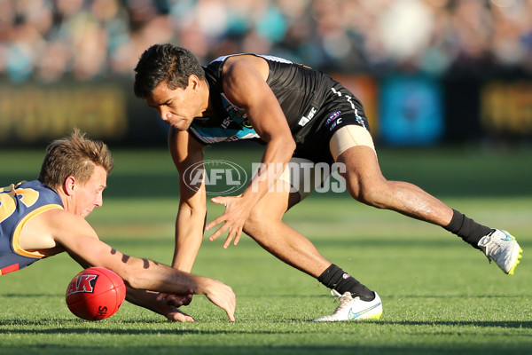 AFL 2015 Rd 16 - Port Adelaide v Adelaide - 389648