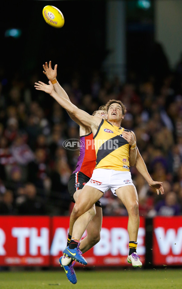 AFL 2015 Rd 16 - St Kilda v Richmond - 389865