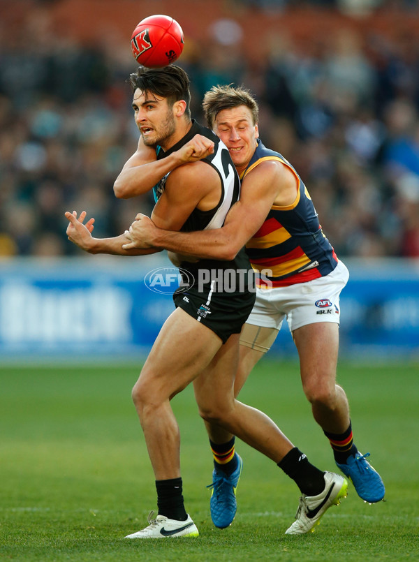 AFL 2015 Rd 16 - Port Adelaide v Adelaide - 389982