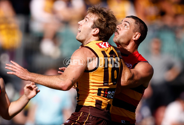 AFL 2023 Round 06 - Hawthorn v Adelaide - A-24502106