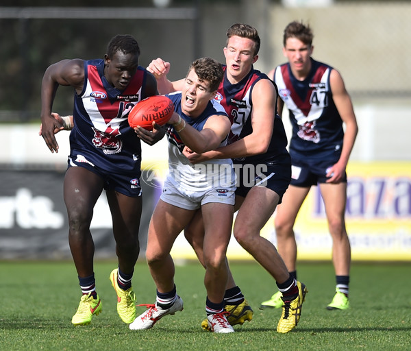 TAC 2015 Cup Rd 14 - Sandringham v NSW ACT - 390611