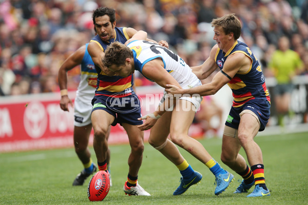 AFL 2015 Rd 17 - Adelaide v Gold Coast - 390649