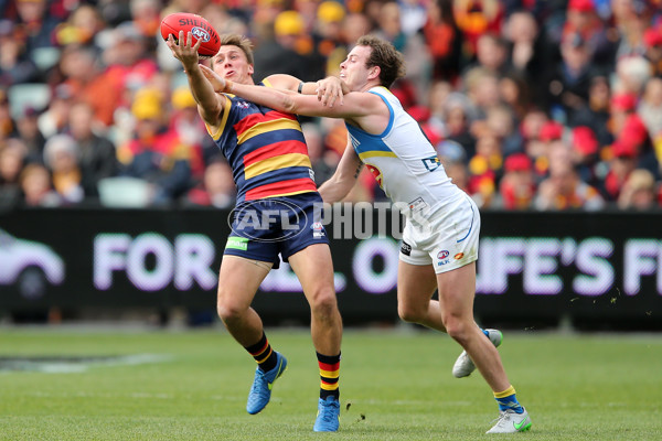 AFL 2015 Rd 17 - Adelaide v Gold Coast - 390680