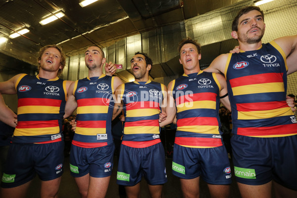 AFL 2015 Rd 17 - Adelaide v Gold Coast - 390737