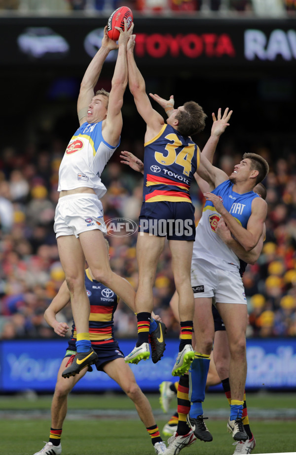 AFL 2015 Rd 17 - Adelaide v Gold Coast - 390867